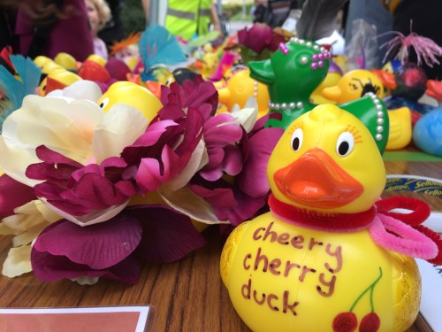 cheery cherry duck